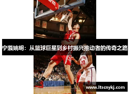 宁蒗姚明：从篮球巨星到乡村振兴推动者的传奇之路