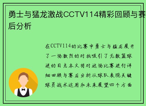 勇士与猛龙激战CCTV114精彩回顾与赛后分析